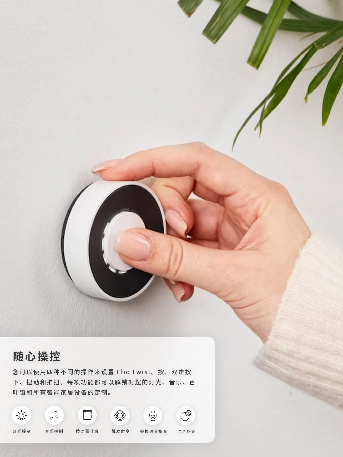 kiwiさま専用 Zespri Sungold Kiwifruit | Hy-Vee Aisles Online Grocery Shopping